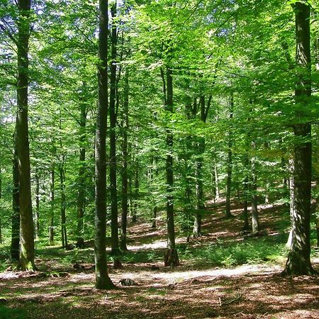 Gites La Tabatiere Laforet Екстер'єр фото